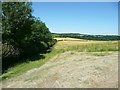 Footpath on the edge of a field, Offley