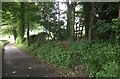 Footpath leaves the Track