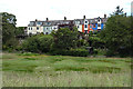 Housing terrace, Alnmouth