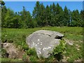 NS2984 : Glennan Burn cup-marked stone by Lairich Rig