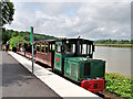 S5310 : Waterford and Suir Valley Railway Train at Mount Congreve Gardens by David Dixon