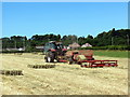 Cywain gwair / Harvesting hay