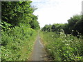 Old road, now a bridleway, northeast of Guisborough