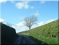 SJ3921 : Little Ness Lane near Hill View by Colin Pyle