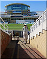 At Trent Bridge Cricket Ground