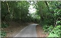 Sunken Lane