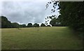 Footpath to Old Heathfield