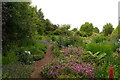SE6656 : The Cottage Garden, Breezy Knees Gardens by Rich Tea