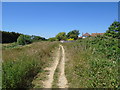 Footpath at Ferring