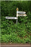 ST1135 : SCC Fingerpost near Lower Vexford by Andrew Riley