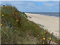 Dunes and beach at Caister-on-Sea