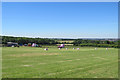 Oldmoor Farm: paddock and pink bales