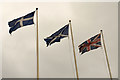HU4741 : The Flags of Shetland, Scotland and Great Britain at Lerwick by Andrew Tryon