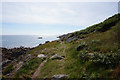 SV9212 : Coastal path at Trenear's Rock by Ian S