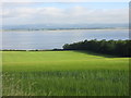 NO3021 : Field on the south side of the Tay by Scott Cormie