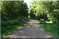 The South Staffordshire Railway Walk