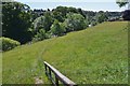 Riverside path from Newcastleton