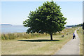 Cliff Walk, Penarth