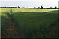 Footpath to the Bicester Road