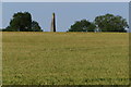 Monument in a wheatfield at Bainton