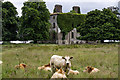 M1878 : Ireland in Ruins: Clogher House, Co. Mayo (2) by Mike Searle