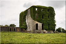 G1818 : Ireland in Ruins: Castle Gore, Co. Mayo (1) by Mike Searle