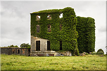 G1818 : Ireland in Ruins: Castle Gore, Co. Mayo (2) by Mike Searle
