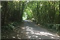 Chilling Street near Wickenden Manor