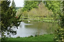 NU1913 : The Pond, Alnwick Castle Gardens by Peter Jeffery