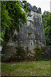 M5621 : Castles of Connacht: Dunsandle, Galway (2) by Mike Searle