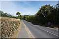 Old Town Road towards Hugh Town, St Mary