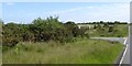 Scrub by Blackhills Lane and the Blackhills Stream valley