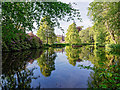 Pond Culloden House Grounds