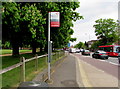 Authorised bus stand sign, Hampton Court Road, East Molesey