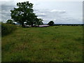 Field and farm buildings