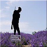 TQ2761 : Silent Soldier at Mayfield Lavender by Peter Trimming