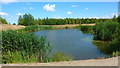 Pond in Clock Face Colliery Country Park