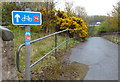 National Cycle Route 76 at Cockburnspath