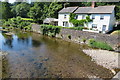 River Barle  at Bridge Street, Dulverton