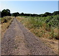 Side road/path towards Raglan Waste Water Treatment Works