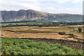 Parched fields at Gill