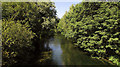 River Wylye from Stoford Bridge