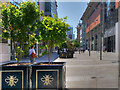 SJ8398 : Trees and Planters on New Cathedral Street by David Dixon