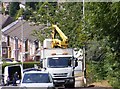 Street Light Repairs