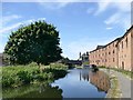 The Chesterfield Canal below Grove Mill Bridge #57