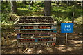 Bug Hotel at Loch Garten Osprey Centre