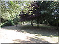 Connaught Gardens entrance looking south