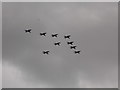 View of Hawk T1s in the RAF 100 flypast from George Green