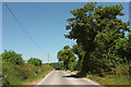 Road north of Marshwood