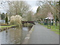 Tavistock Canal